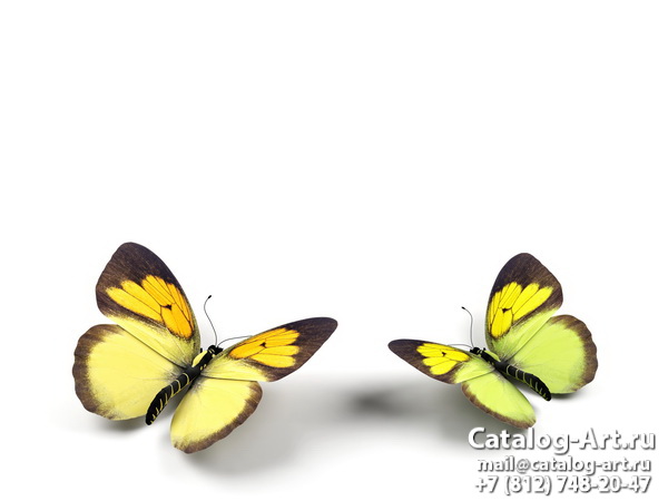  Butterflies 69